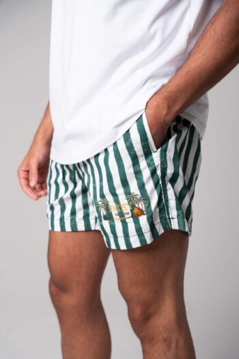 The Established Swim Shorts